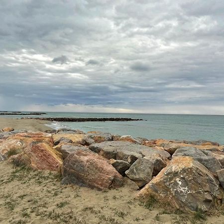 Port Barcares Vue Port Et Mer Le Barcarès Eksteriør billede