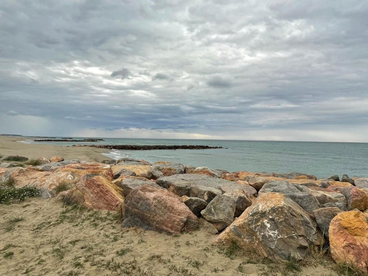 Port Barcares Vue Port Et Mer Le Barcarès Eksteriør billede